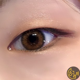 Mix Ann Hawaiian Brown(月拋)